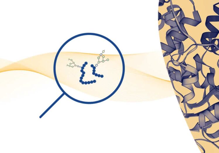 glycopeptide enrichment 6 1 2 1.jpeg