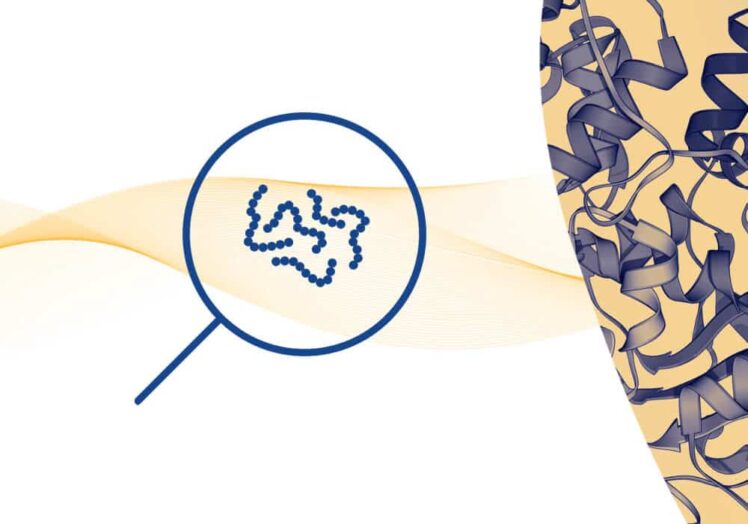 peptide desalting 2 1 2 1.jpeg