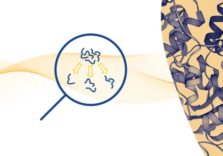 peptide fractionation 3 1 2 1.jpeg